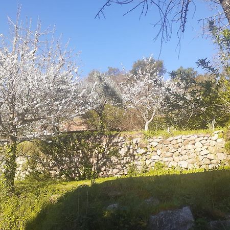 Quinta Dos Carvalhos The Wine House Farm In Center Of Lamego - Capital Of The Douro别墅 外观 照片