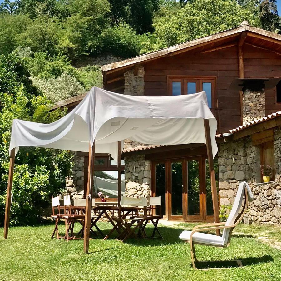 Quinta Dos Carvalhos The Wine House Farm In Center Of Lamego - Capital Of The Douro别墅 外观 照片