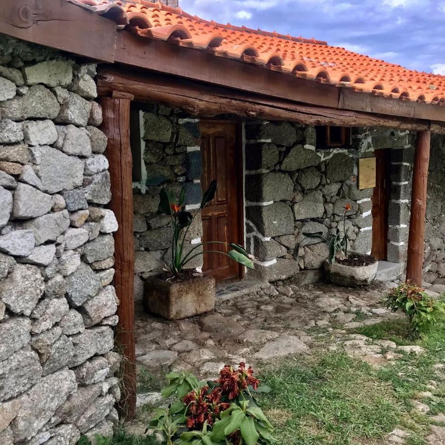 Quinta Dos Carvalhos The Wine House Farm In Center Of Lamego - Capital Of The Douro别墅 外观 照片