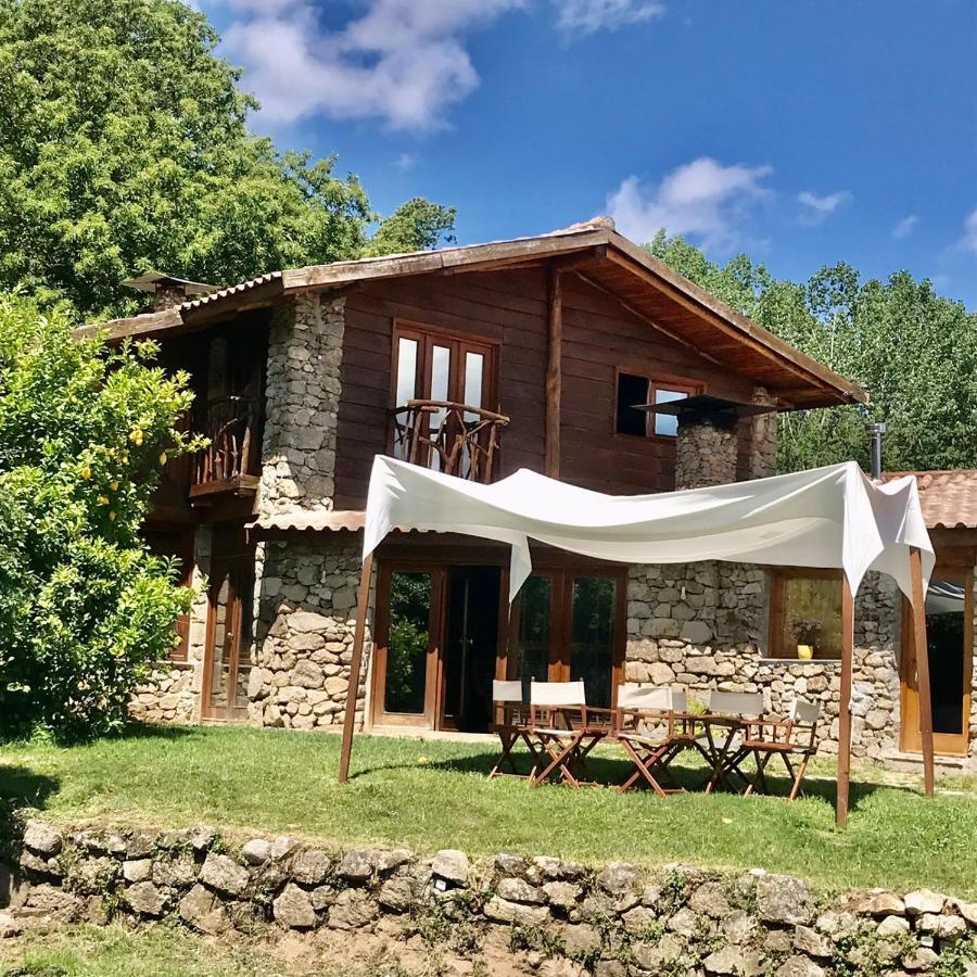 Quinta Dos Carvalhos The Wine House Farm In Center Of Lamego - Capital Of The Douro别墅 外观 照片