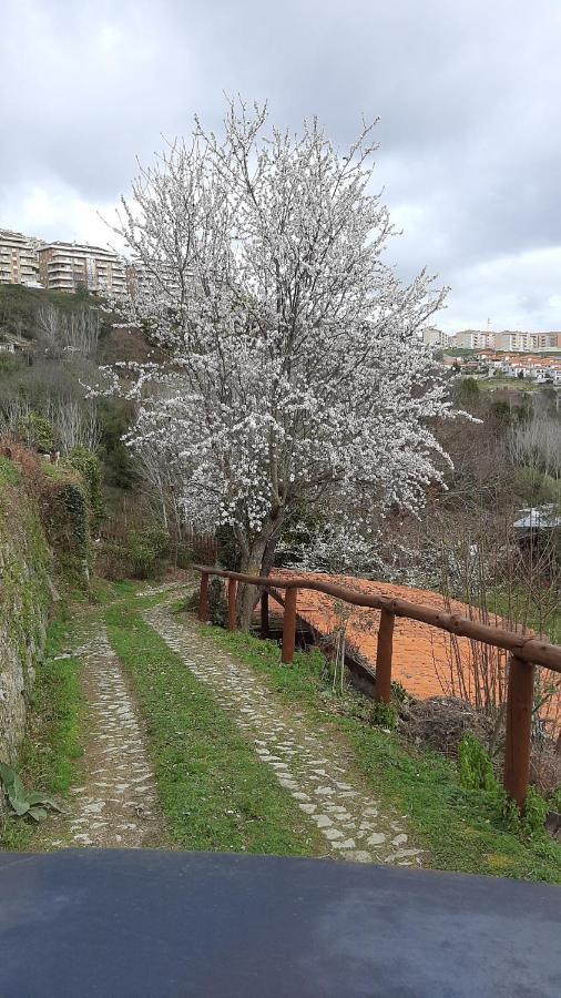 Quinta Dos Carvalhos The Wine House Farm In Center Of Lamego - Capital Of The Douro别墅 外观 照片