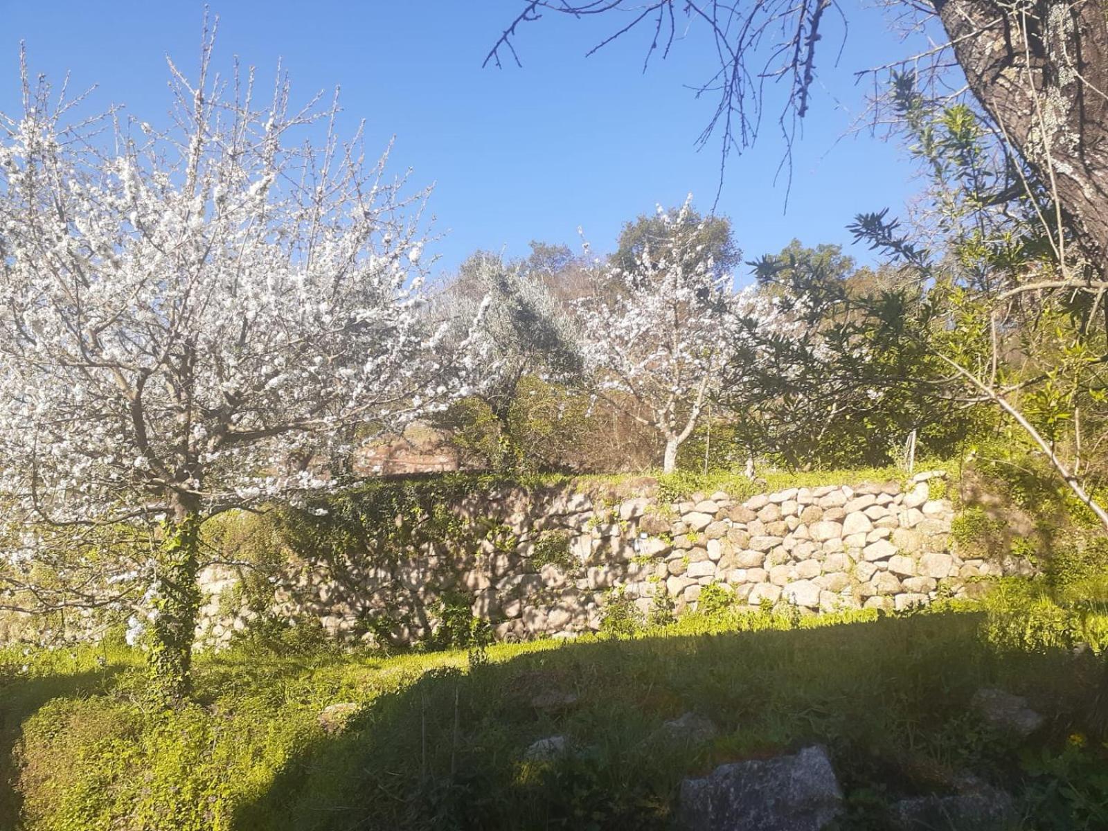 Quinta Dos Carvalhos The Wine House Farm In Center Of Lamego - Capital Of The Douro别墅 外观 照片